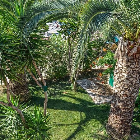 Olive Grove Apts Lithakiá Kültér fotó