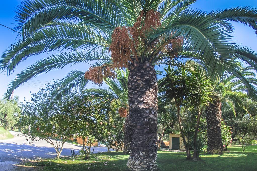 Olive Grove Apts Lithakiá Szoba fotó