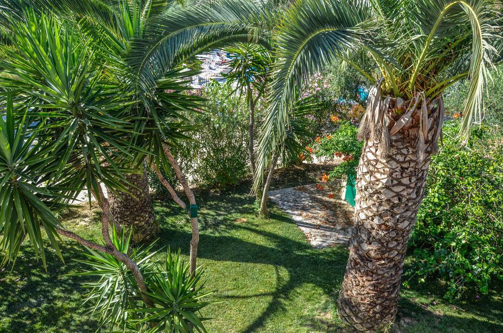 Olive Grove Apts Lithakiá Kültér fotó