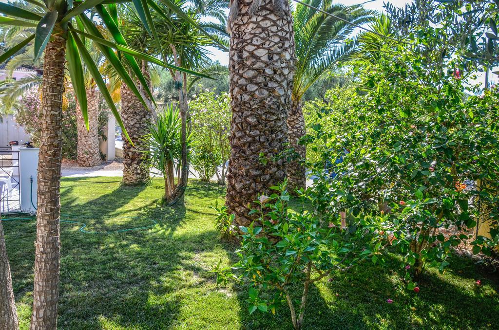 Olive Grove Apts Lithakiá Kültér fotó