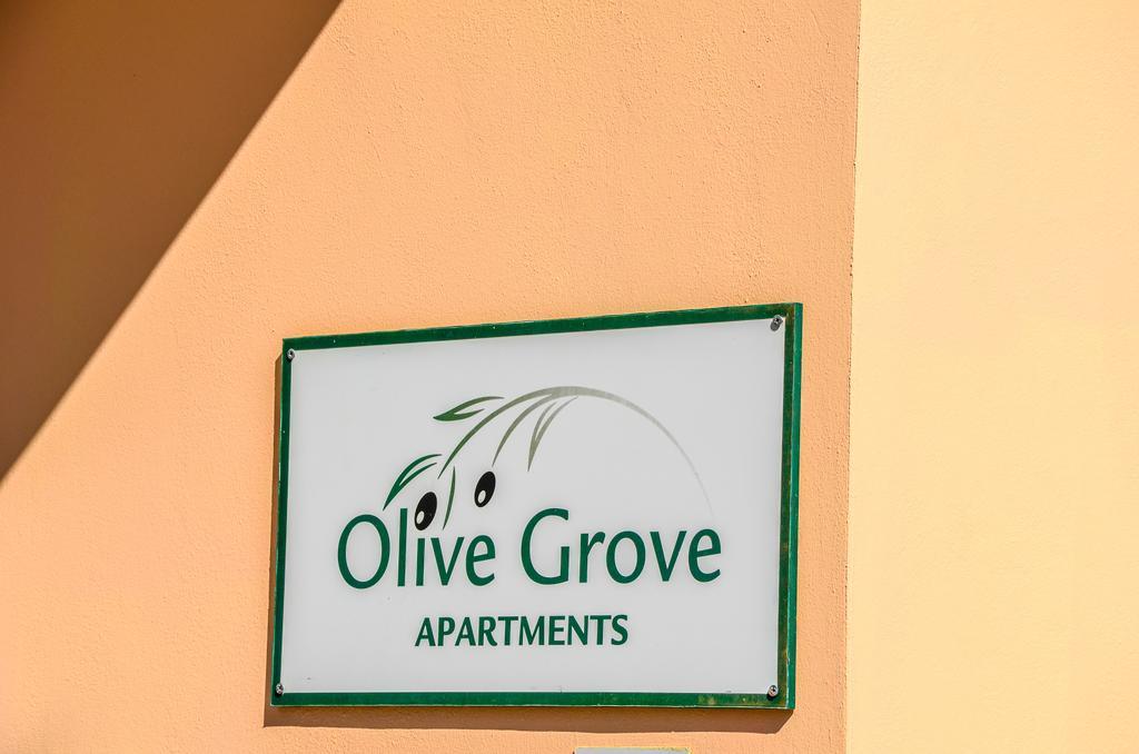 Olive Grove Apts Apartman Lithakiá Kültér fotó