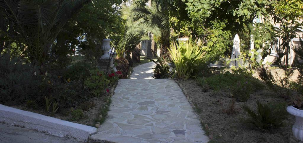 Olive Grove Apts Lithakiá Kültér fotó